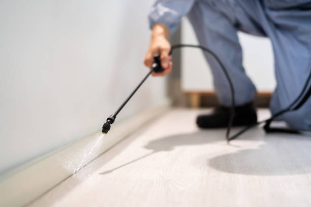 Licensed Termite Control service in Deep River Center, CT - Nex Pest Control