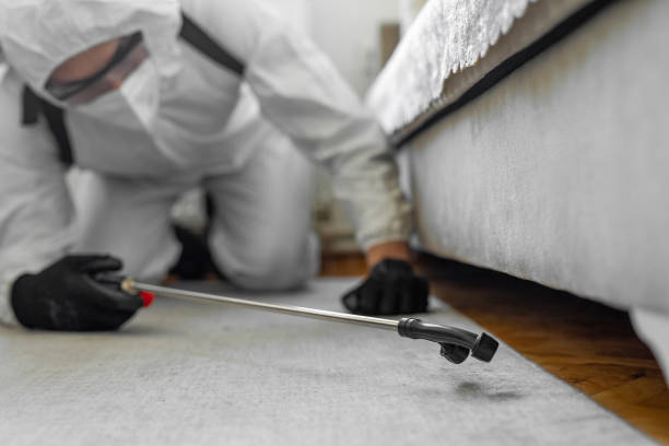 Professional Termite Control technician working in Deep River Center, CT