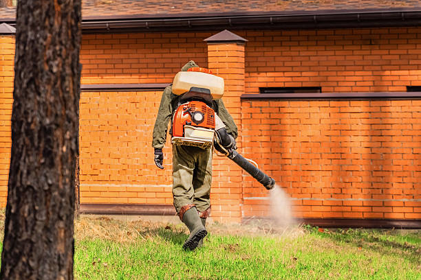 Trusted Ant Control service in Deep River Center, CT - Nex Pest Control